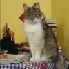 Отзыв от Аня Литвинова